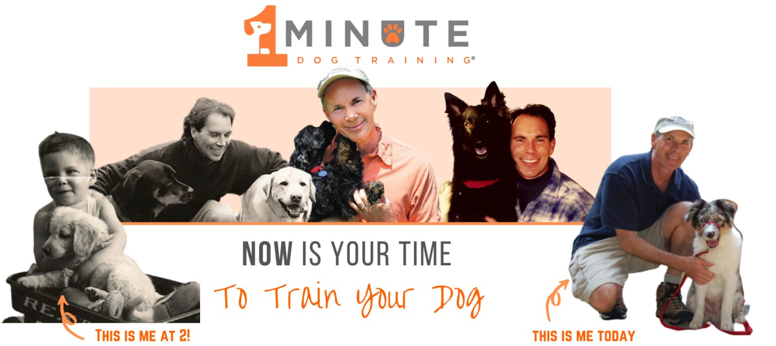 1 Minute Dog Training