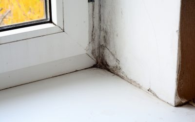 Bloque Water Damage Restoration